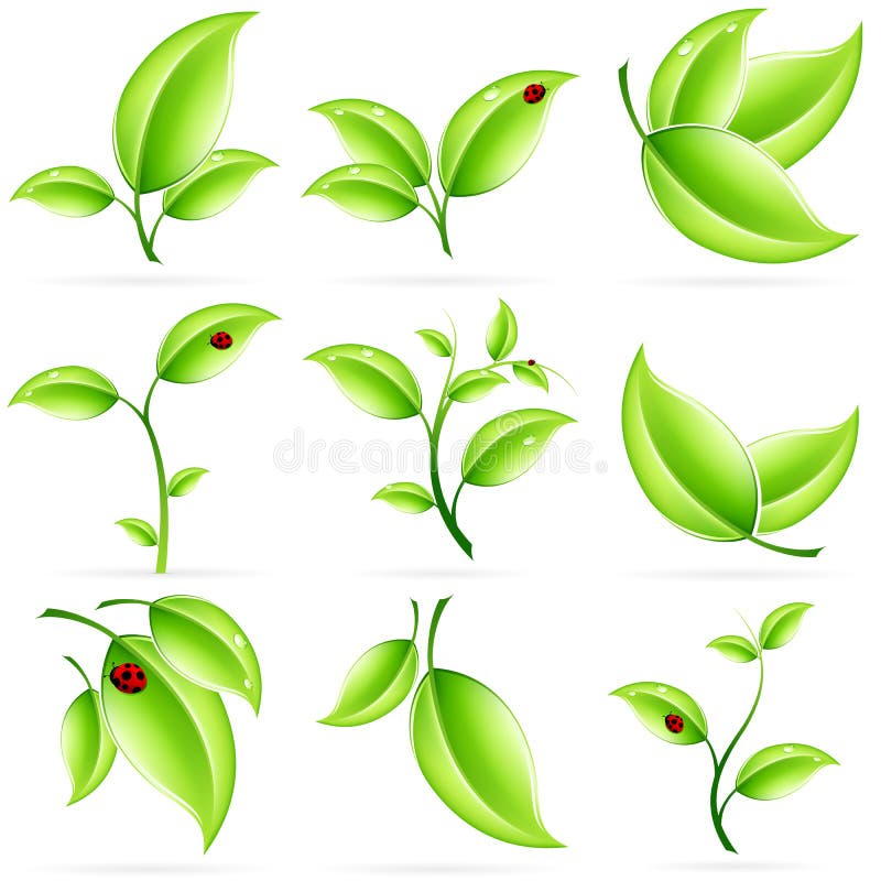 Fresh Green Leaves Icon Set royalty free illustration