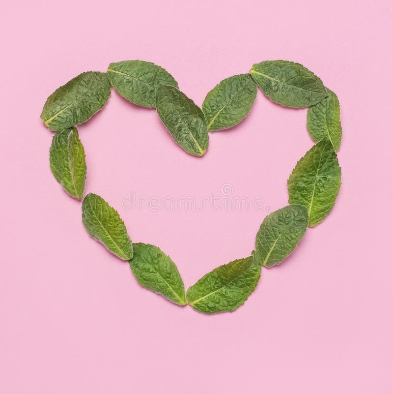 Fresh Green Leaves of Mint, Lemon Balm, Peppermint in the Shape of Heart on  Pink Background Top View. Mint Leaf Texture Stock Image - Image of flora,  foliage: 182628685