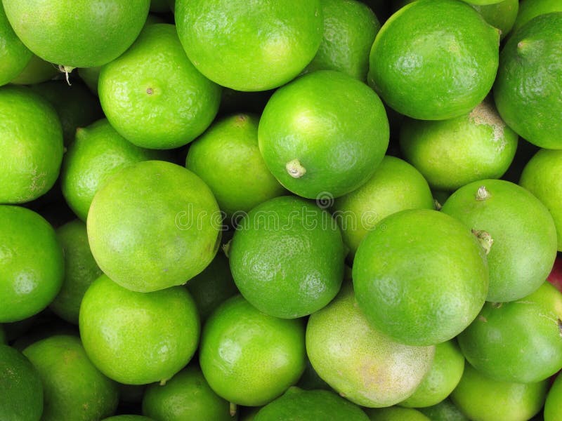 Fresh green lemon stock image. Image of food, eating 19692525