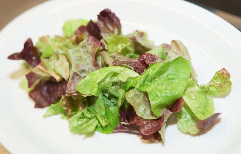 Fresh Green Lettuce On Plate Picture. Image 18440670