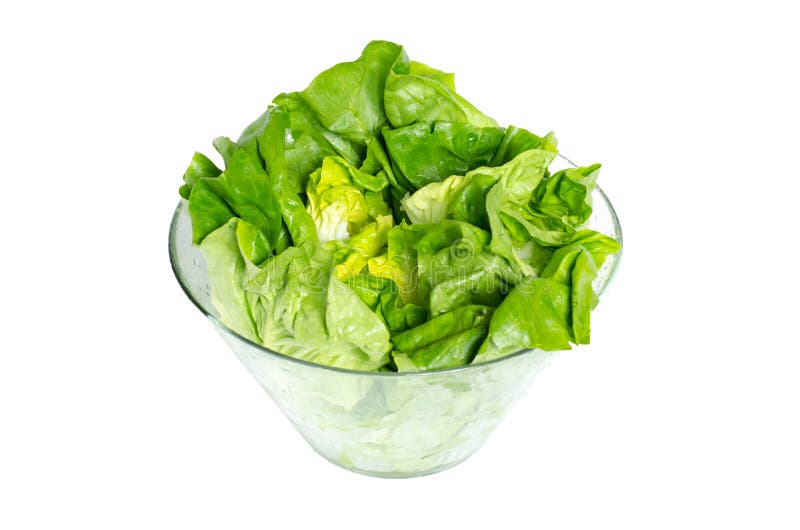 Fresh Green Lettuce in Glass Bowl Stock Image Image of diet, color 38701597