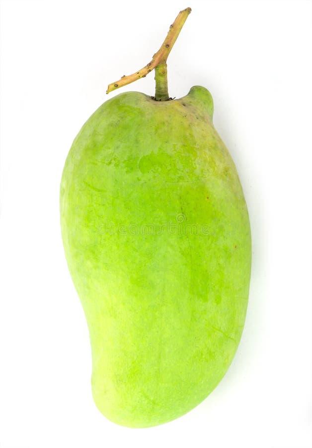 Fresh Green Mango(Rhino Mango)Thailand Stock Image Image of delicious