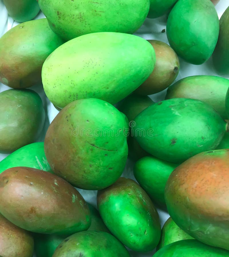 Fresh Green Mangos stock photo. Image of herb, mange 78959062