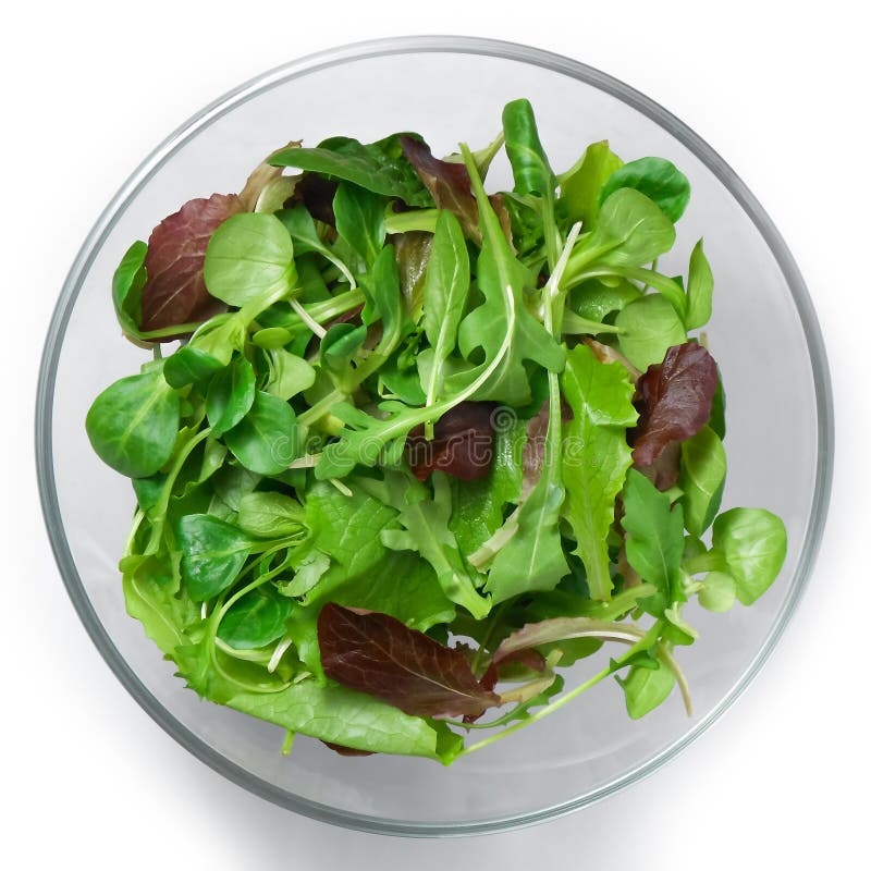Fresh green mixed salad with spinach, rucola, romaine and lettuce, on white background, top view. stock photography Fresh green mixed salad with spinach, rucola, romaine and lettuce, on white background, top view. stock photography