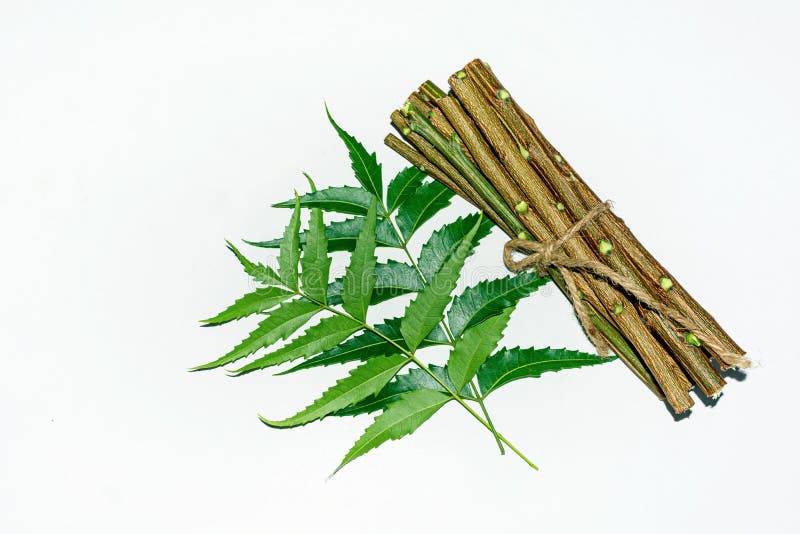 Image result for neem twigs