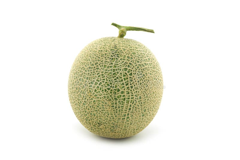 Japanese melon stock image. Image of melon, pattern, food 6789711