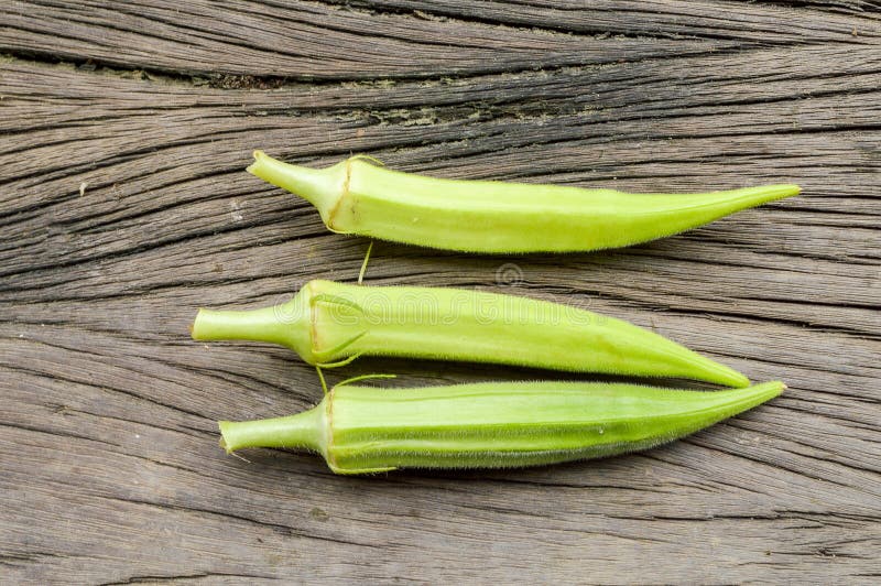 Green okra tree in garden stock photos