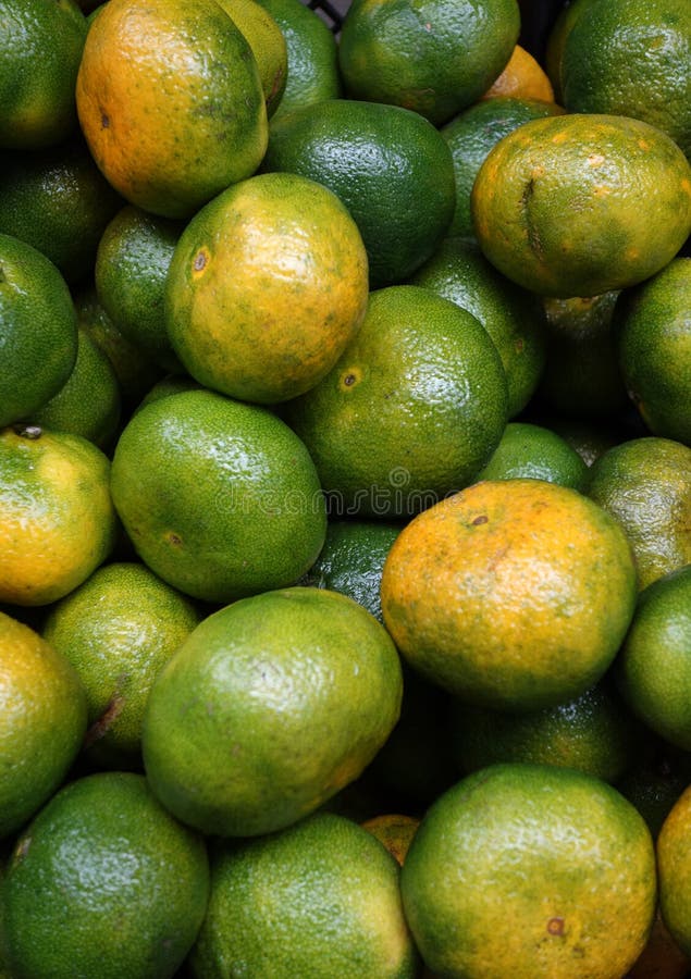 Fresh green orange stock photo. Image of choose, grow 33638716