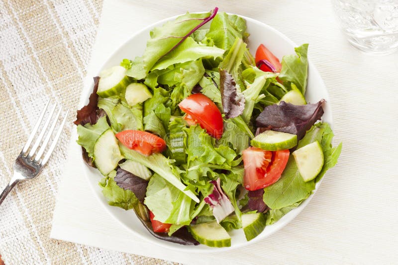 Fresh Green Organic Garden Salad