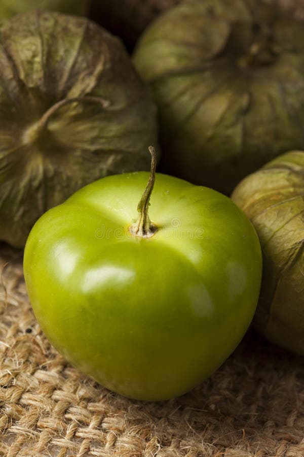 Fresh Green Organic Tomatillo Stock Photo Image of fruit, tomato 28980174