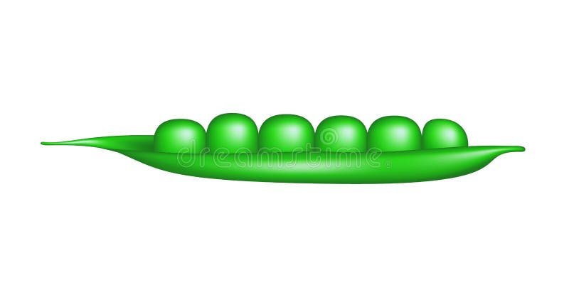 Fresh green pea pod royalty free illustration