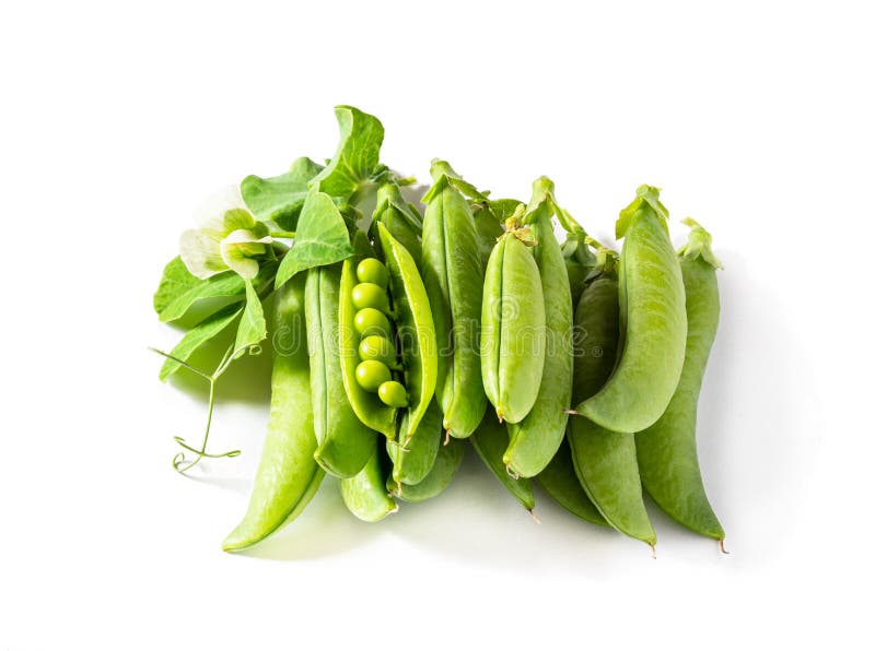 Fresh Green Pea in the Pod with Flower Isolated on White Stock Image