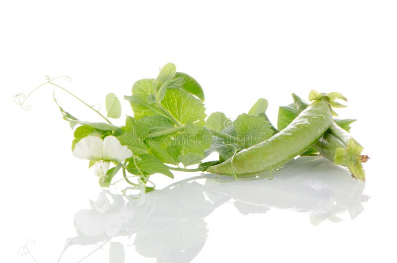 Fresh green pea pod stock photo. Image of gourmet, natural 129233780
