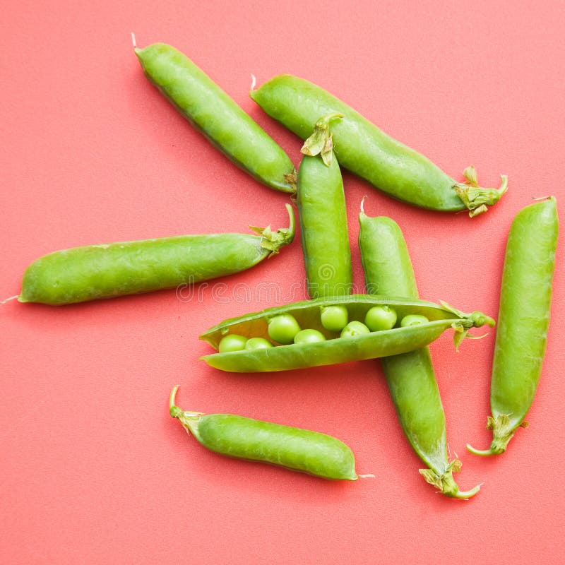 Fresh green pea pods stock photo. Image of uncooked, healthy 15281742