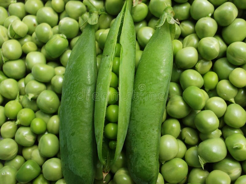 Fresh Green Pea Pods Background Stock Photo Image of pile, agriculture 75148916