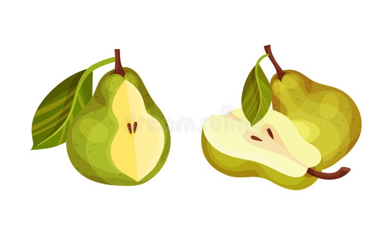 Fresh ripe pears set whole organic yellow Vector Image