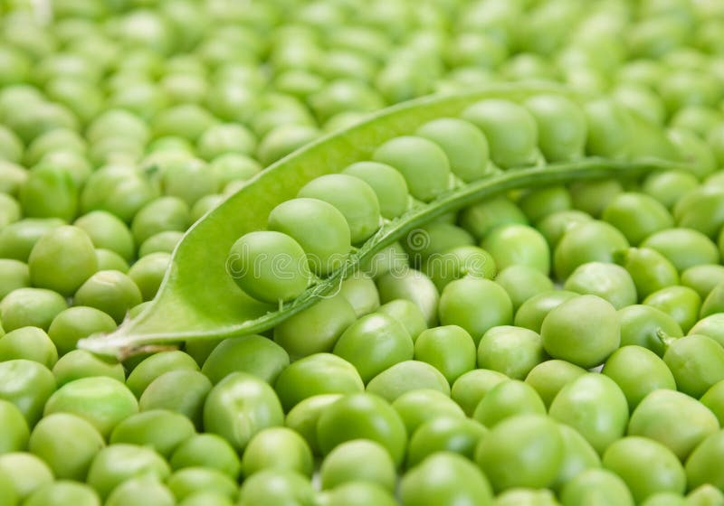 Fresh green peas stock photo. Image of ingredient, background 14654482
