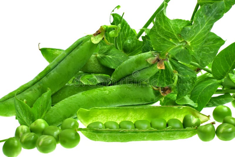 Fresh green peas stock image. Image of vegetables, leguminous 20812701