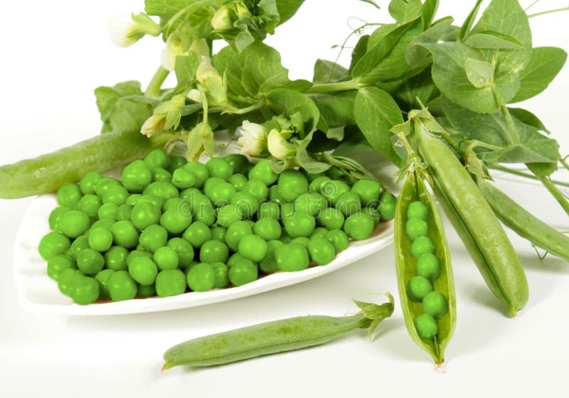 Fresh green peas stock photo. Image of fresh, diet, detail 5615200
