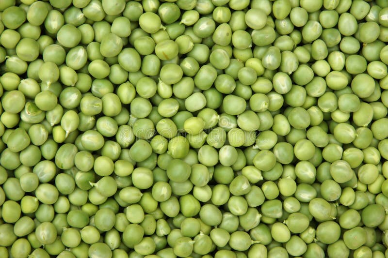 Fresh green peas stock photo. Image of diet, vegetable 101719154