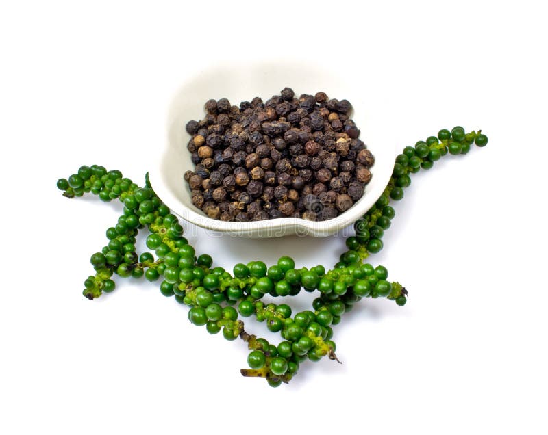Fresh Green Peper on Heap of Black Pepper Stock Image Image of garnish, nature 27650025