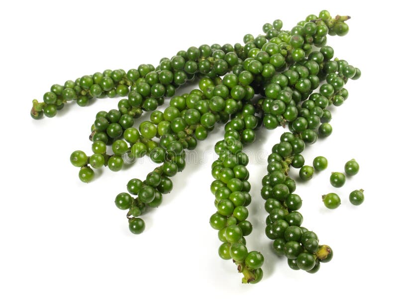 Fresh Green Peppercorns on White Background Isolated Stock Photo