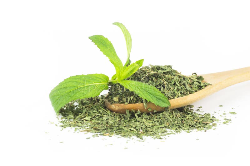 Fresh green peppermint leaves and dried mint leaves isolated on white background