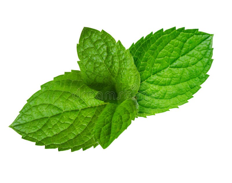 Peppermint Background stock photo. Image of sweet, background 675884