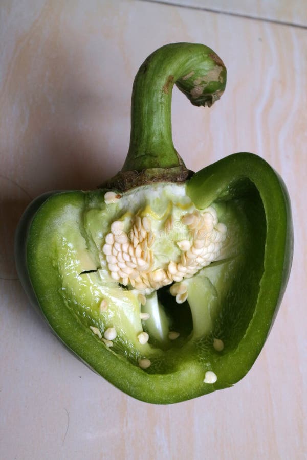 Fresh Green Peppers for Cooking Stock Image Image of health, organic