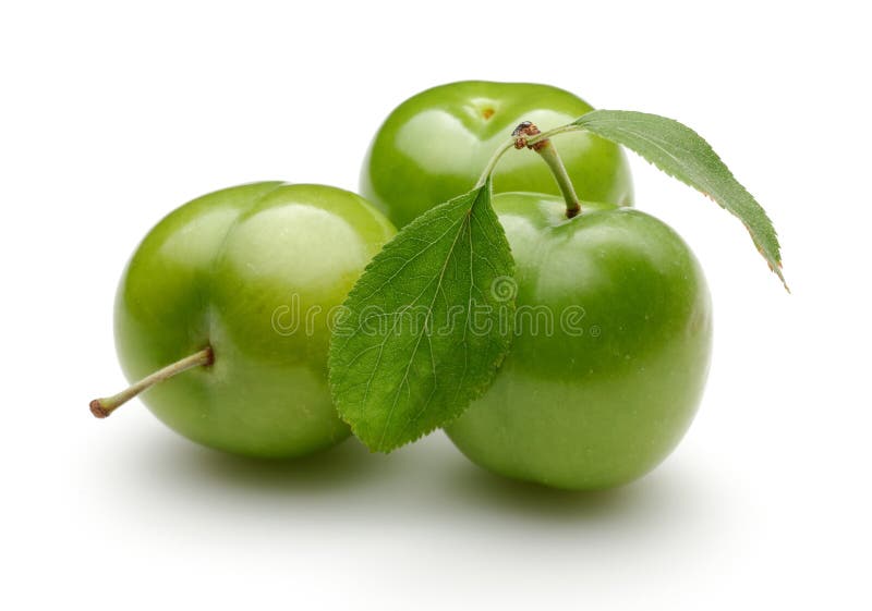 Fresh Green Plums with Leaf Isolated on White Stock Photo Image of