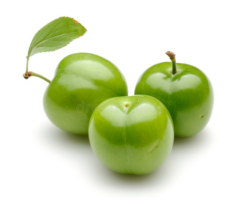 Fresh Green Plums with Leaf Isolated Stock Image Image of green, closeup 153804175
