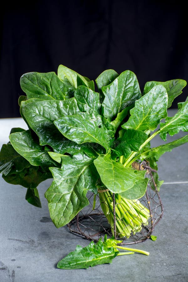 Fresh Green Raw Wild Spinach Leaves Stock Photo - Image of fresh, green