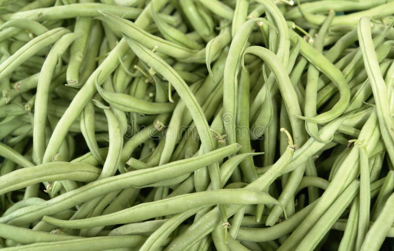 Fresh green runner beans stock photo. Image of crop, freshness 34310576