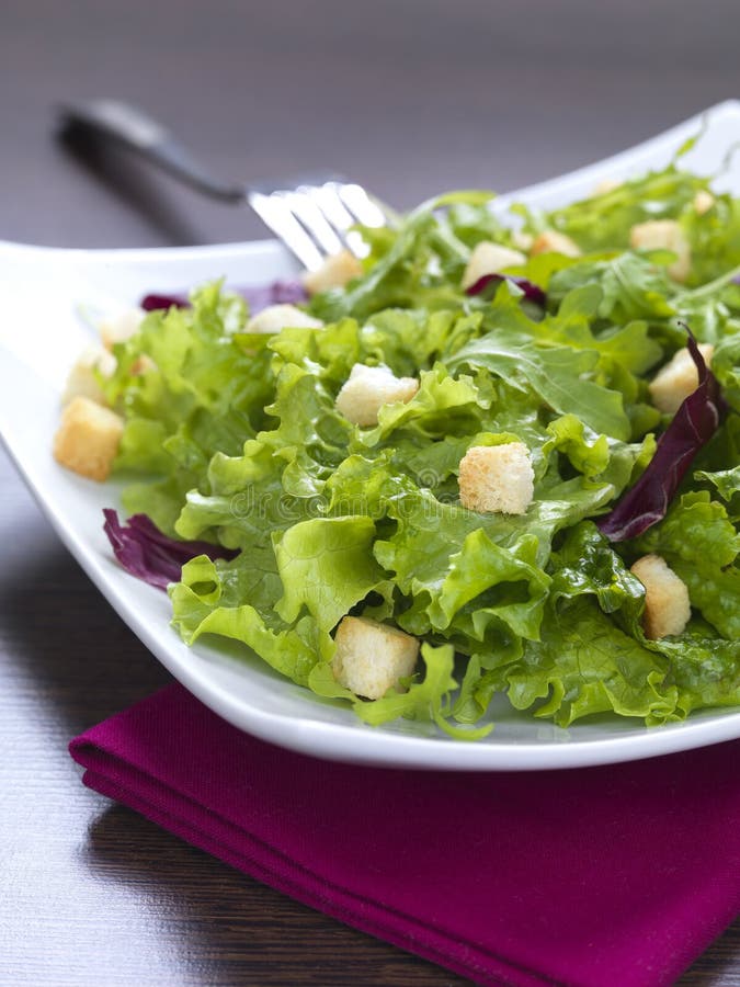 Fresh green salad