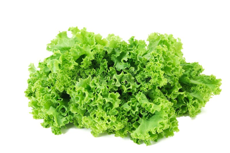 Fresh green salad