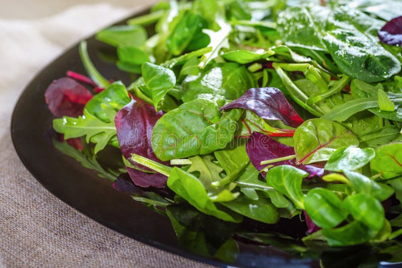 A fresh green salad. A notion of healthy meals