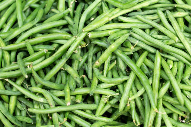 BeansSnap Green stock photo. Image of green, produce, garden 169112