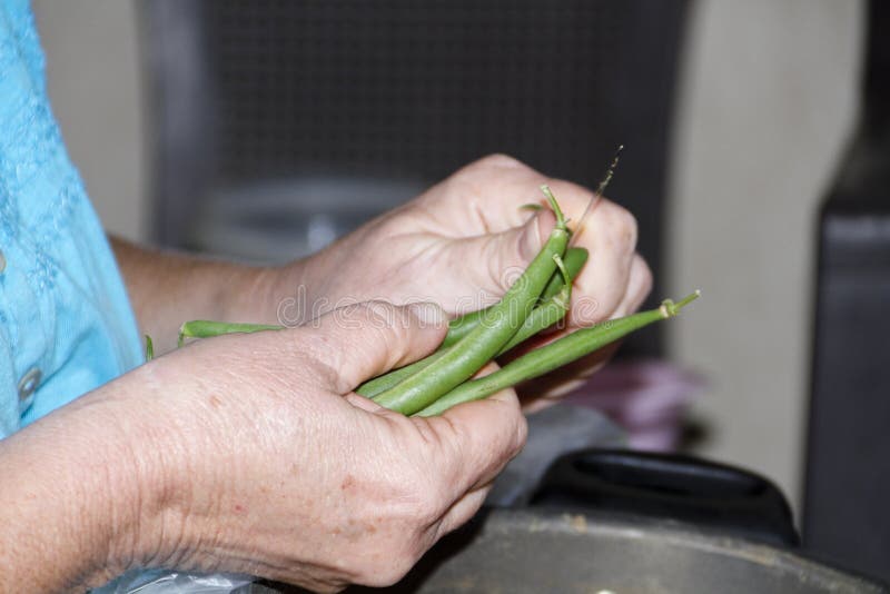 Fresh Green Stick beans stock photo