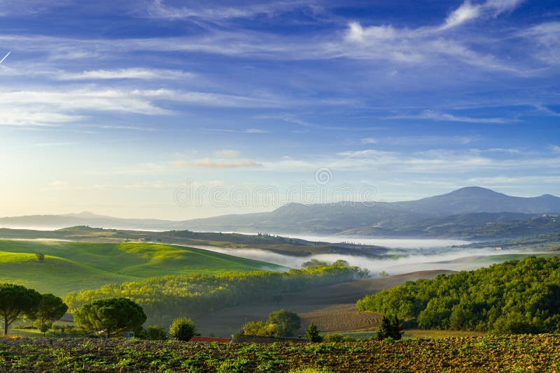 Fresh Green tuscany landscape in spring time at sunrise stock images Fresh Green tuscany landscape in spring time at sunrise stock images