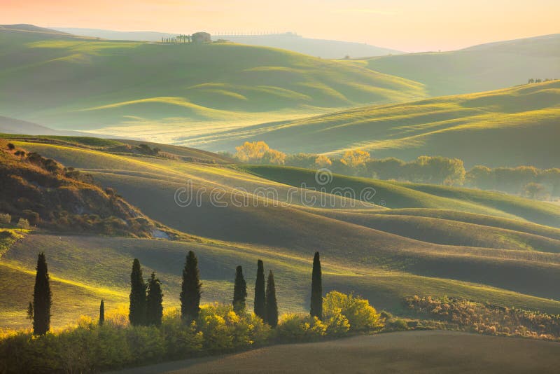 Fresh Green tuscany landscape