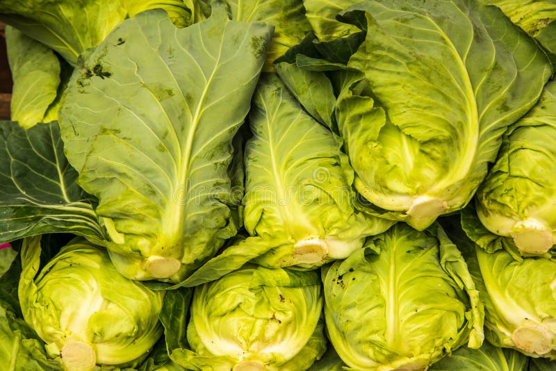 Group of fresh green vegetables stock images Group of fresh green vegetables stock images