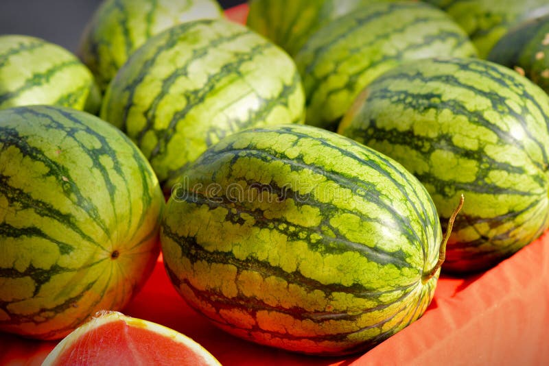 Fresh green watermelons stock photo. Image of length 43050912
