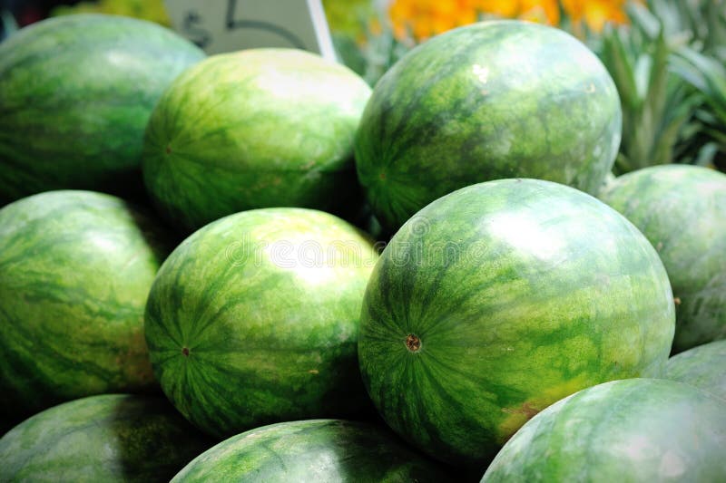 Fresh green watermelons stock photo. Image of natural 45027896