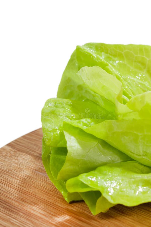 Wet green lettuce stock image. Image of ideal, close 116118917
