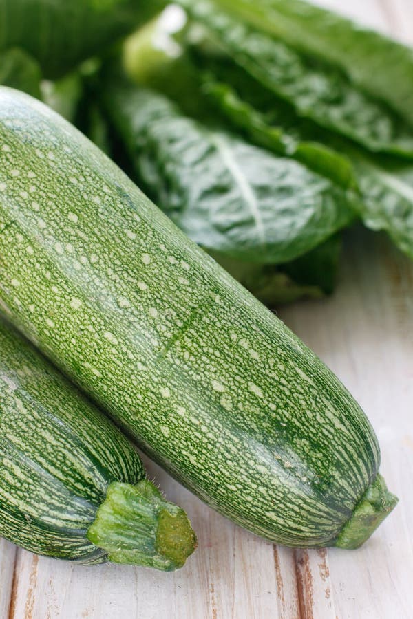 Fresh green zucchini stock image. Image of vegan, spring 23934911