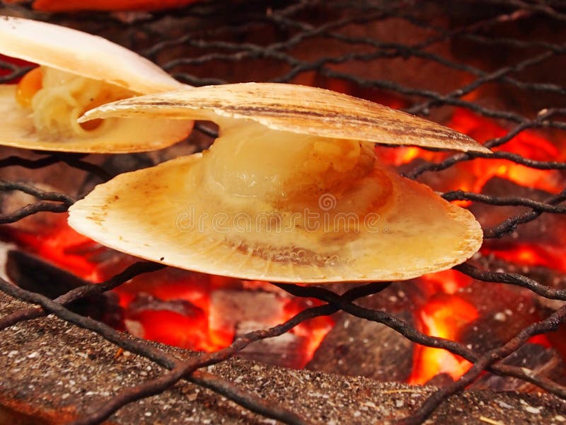 Grilled scallop stock image. Image of shellfish, protein 30292735