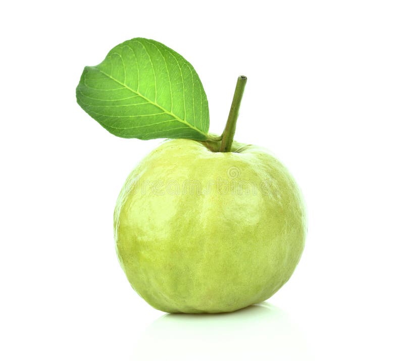 Fresh Guava Fruit Isolated on White Background Stock Photo Image of
