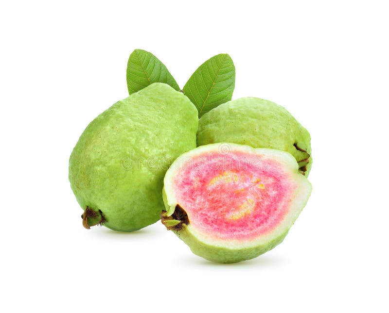 Fresh Guava Fruit on White Background Stock Photo Image of slice