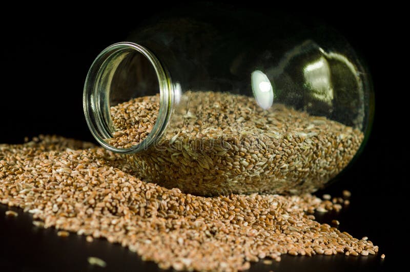 Fresh Harvest of Wheat Grains in a Heap Stock Photo - Image of farming ...