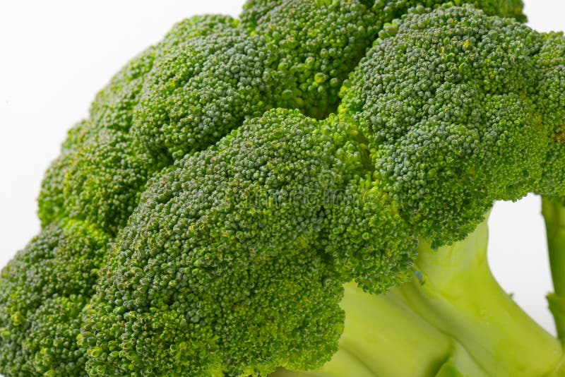 Broccoli head stock photo. Image of cabbage, vegetable 6868746